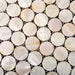 Penny round sea shell pearl mosaic kitchen backsplash tile MOP018 bathroom wall shower mother of pearl tiles - My Building Shop