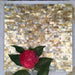 8mm Thickness Seamless Brick Gold Lip Shell Tile Backsplash Bathroom Mother Of Pearl Seashell Wall Board Tiles MOPSL098 - My Building Shop