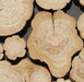6 PCS Plum Blossom Wood Wall Tile 3D Natural Wooden Wallboard Backsplash Mosaic DQ151 - My Building Shop