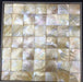 11 PCS Natural Gold Lip Mother Of Pearl Shell Tile Backsplash Bathroom Kitchen Wall Mosaic MOPSL007 - My Building Shop